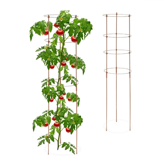Braune Pflanzenstützen mit Ringen, 120 cm