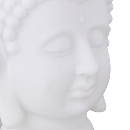 Buddha's head