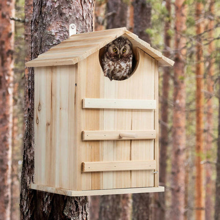 Building kit for nest box for owl