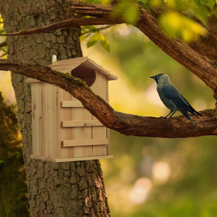 Building kit for nest box for owl
