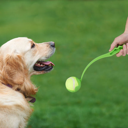 Kugeln für Hunde 2er Set