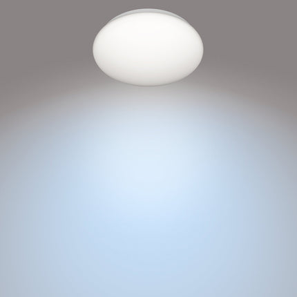 CL200 Plafond 250mm 10W 1100lm 4000K Cool white