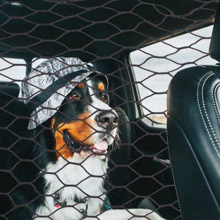 Filet de séparation de voiture pour chiens