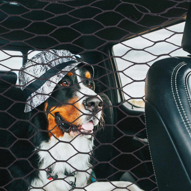 Auto-Trennnetz für Hunde