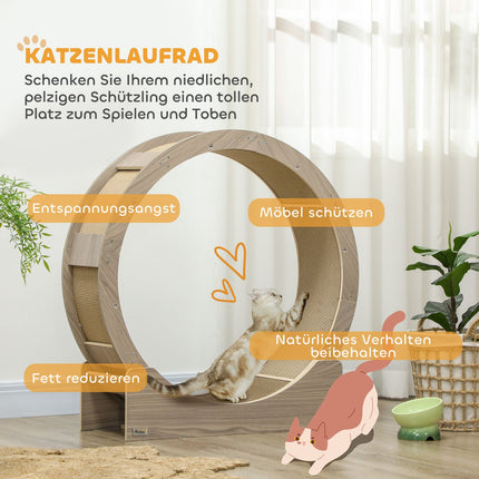 Cat training wheel with brake and scratching board