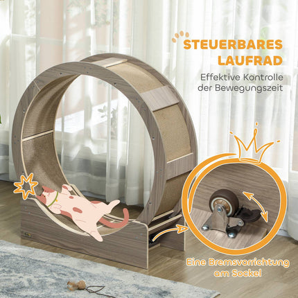 Cat training wheel with brake and scratching board