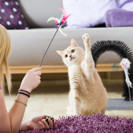 Katzenbürstenbogen mit Spielzeugmaus