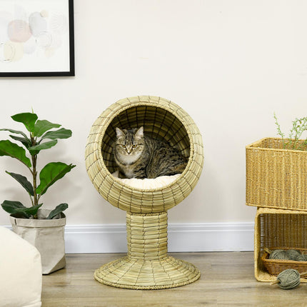 Niche pour chat moderne avec coussin, jonc de mer, base amovible, pour salon, 41 x 41 x 71,5 cm