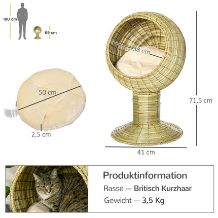 Niche pour chat moderne avec coussin, jonc de mer, base amovible, pour salon, 41 x 41 x 71,5 cm
