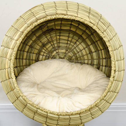 Niche pour chat moderne avec coussin, jonc de mer, base amovible, pour salon, 41 x 41 x 71,5 cm