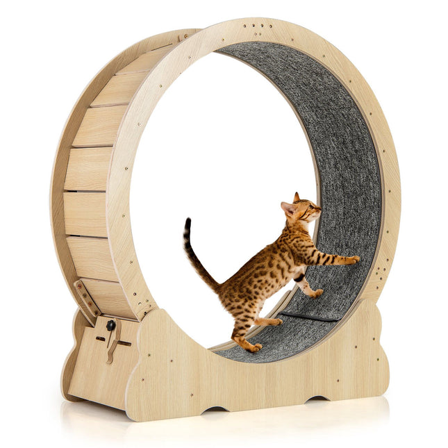 Katzen-Laufrad mit Sperrfunktion, 101 cm, leises Design