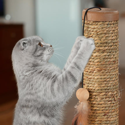 Cat Scratching Post with Toy Rope and Board