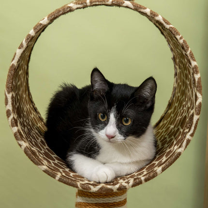 Cat Tower 101cm Giraffe Design with Tunnel & Jute Posts