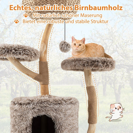 Cat Tree with Cave, 105cm, Birch Wood, Plush Platforms