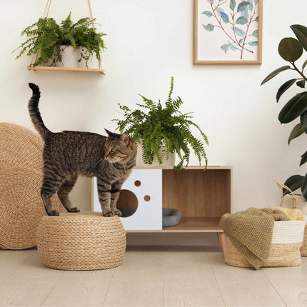 Cat cabinet with entrance