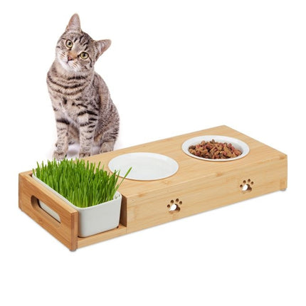 Katzenfutterstation und Katzengrasnapf