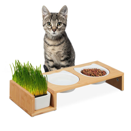 Katzenfutterstation und Katzengrasnapf