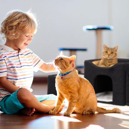 Cachette pour chat avec plusieurs lits