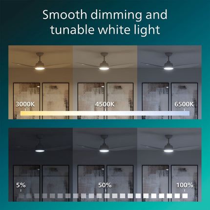 Deckenventilatorleuchte 132 cm, dimmbare LED, Fernbedienung