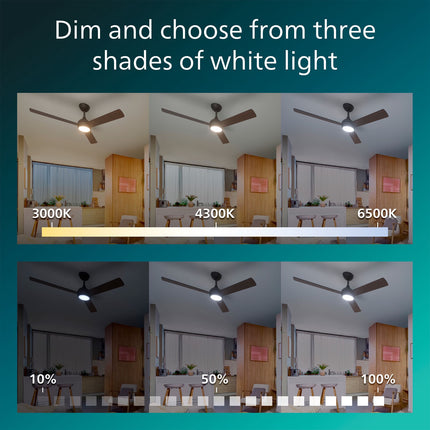 Deckenventilator mit LED-Beleuchtung, 132 cm, Fernbedienung, umschaltbare Rotorblätter