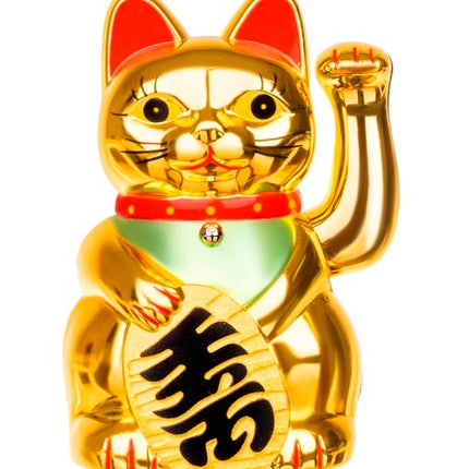 Čínská kočka – zlatá