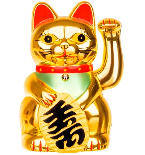 Chinesische Katze - golden 