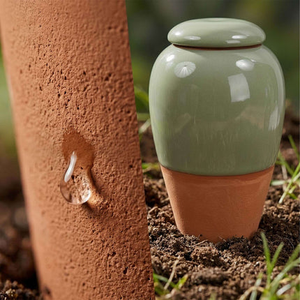 Clay Watering Cones with Lids, 350ml, 2-Pack, Sage
