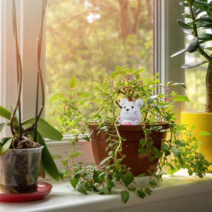 Clay rabbit set of 4