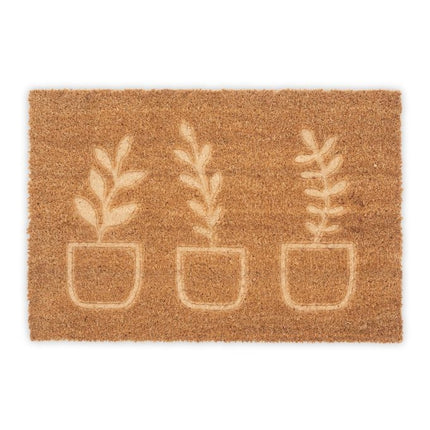 Coconut doormat plants