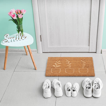 Coconut doormat plants