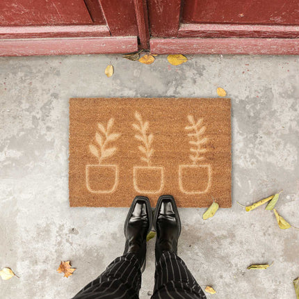 Coconut doormat plants