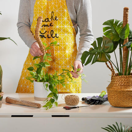 Kokosnussstäbe 60 cm
