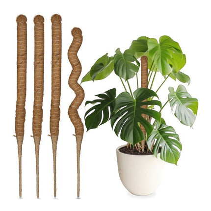 Kokosnussstäbe 60 cm