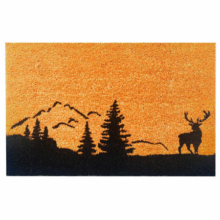 Kokosfußmatte, 60x40 cm, Dekoratives Design