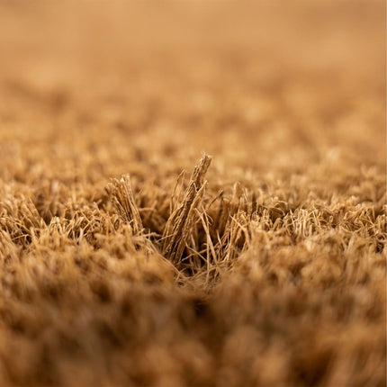 Coir & PVC Doormat, 60x40 cm, Natural & Black