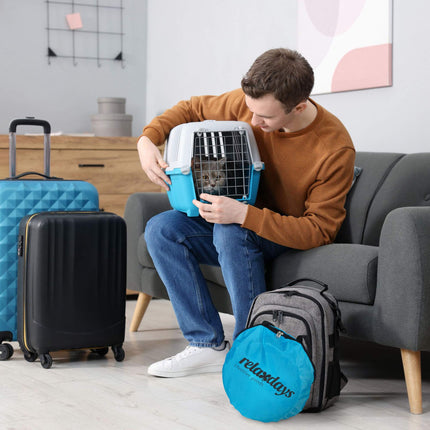 Zusammenklappbarer Katzentunnel mit Spielzeug