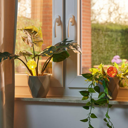 Bunte Wasserbälle Glas 4er Set