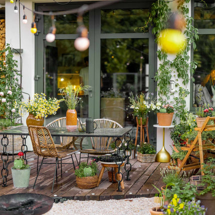 Cône d'argile verte, lot de 4