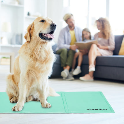 Kühlmatte für Hunde