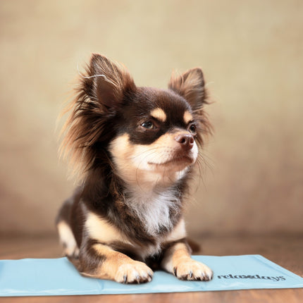 Kühlmatte für Hunde