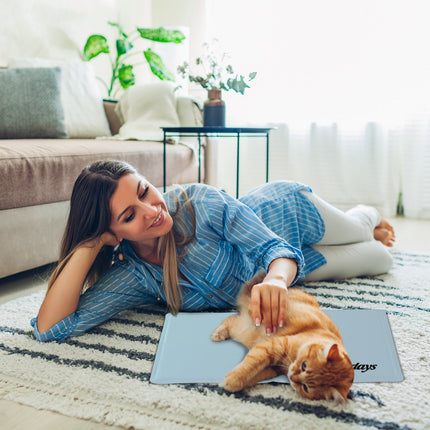 Tapis rafraîchissant pour chiens