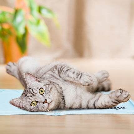 Cooling mat for dogs
