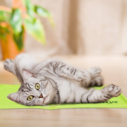 Tapis rafraîchissant pour chiens