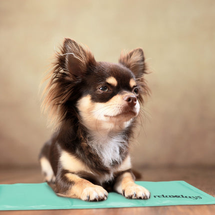 Tapis rafraîchissant pour chiens