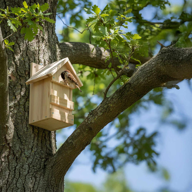 DIY Wooden Nesting Boxes for Birds, Set of 2