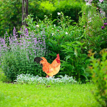 Dekorative Garten-Hahnfigur – Lebensechte Gartenstatue