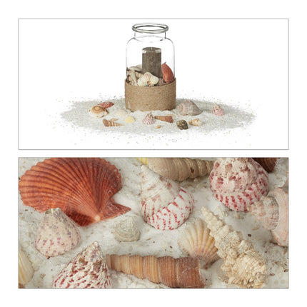 Dekoratives Muschel-Set, 2 kg – See- & Schneckenmuscheln