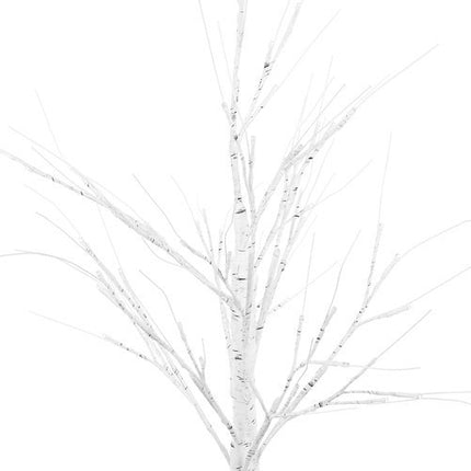 Deko-Birke 180cm - LED Lampen 31V 