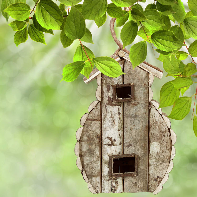 Decorative bird house in various designs