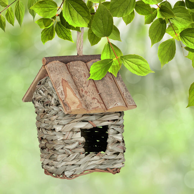 Dekorative Box
